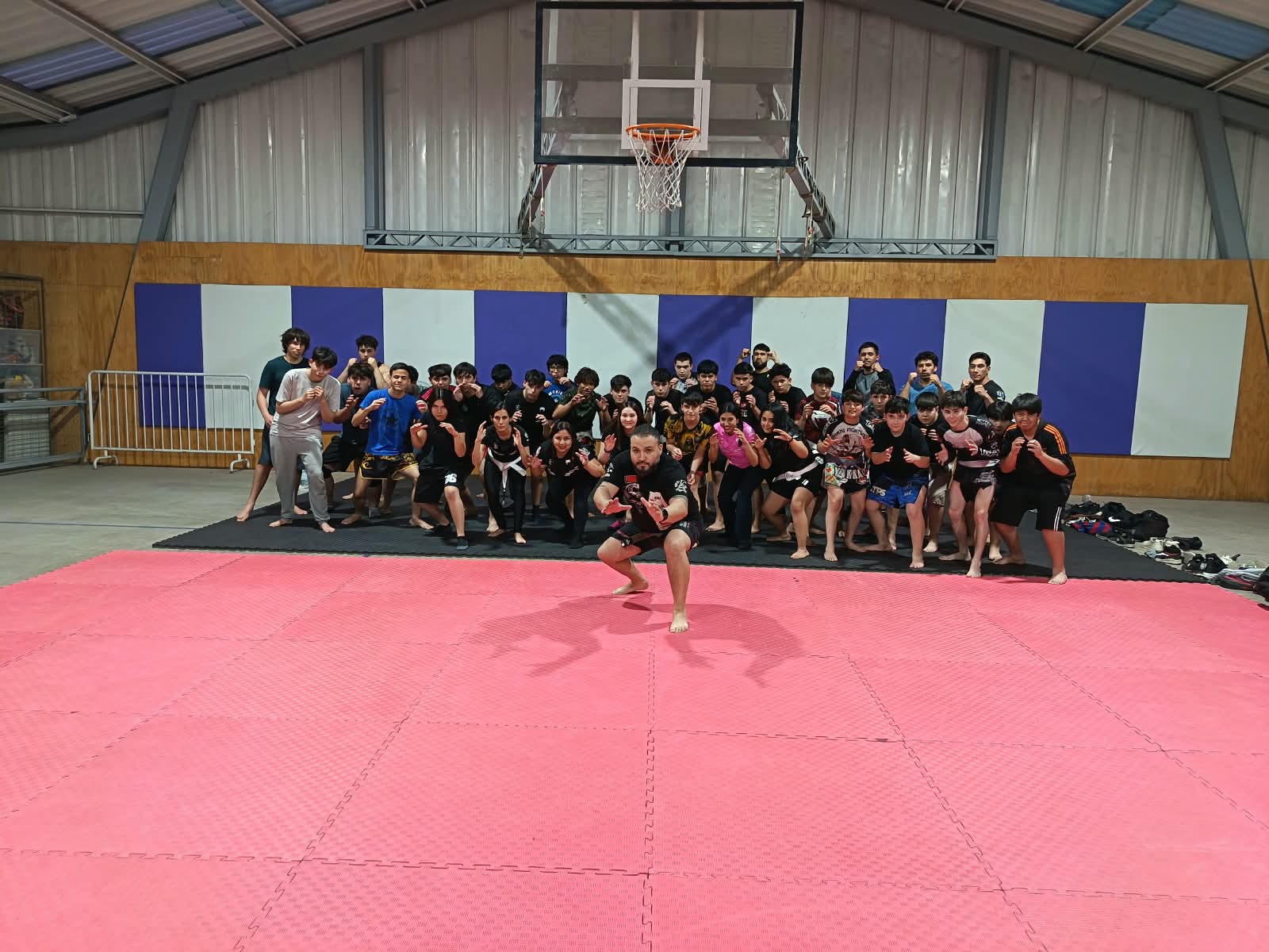 practicantes de artes marciales mixtas